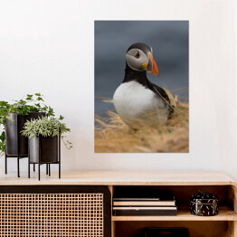 Plakat samoprzylepny Ptak maskonur na tle roślinności - ujęcie z efektem bokeh