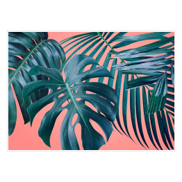 Plakat samoprzylepny Duże tropikalne liście nakładające się na siebie na różowym tle