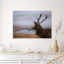Plakat samoprzylepny Szkocki jeleń na tle jeziora we mgle