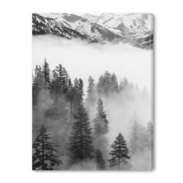 Szczyt góry oraz las we mgle