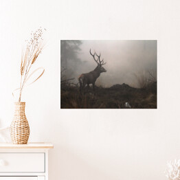 Plakat samoprzylepny Jeleń we mgle na polanie w lesie 