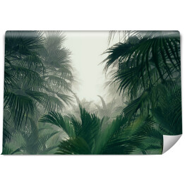 Fototapeta Ścieżka w dżungli. Droga wśród ciemnych zielonych egzotycznych roślin we mgle