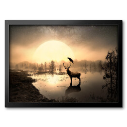 Obraz w ramie Jeleń na tafli jeziora na tle słońca