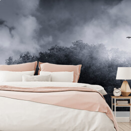 Fototapeta winylowa zmywalna ptaki latające nad szczytem spowitym mgłą, pogodny krajobraz z ptakami