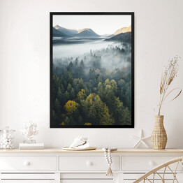 Obraz w ramie Piękny las na tle szczytów górskich