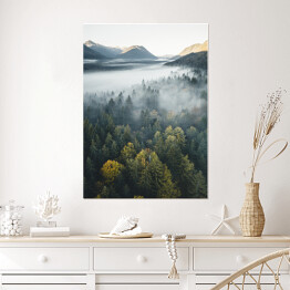 Plakat Piękny las na tle szczytów górskich