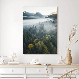 Obraz na płótnie Piękny las na tle szczytów górskich