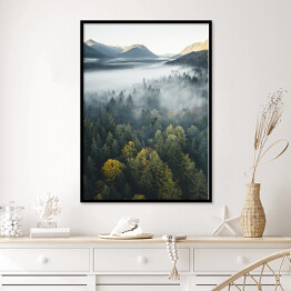 Plakat w ramie Piękny las na tle szczytów górskich
