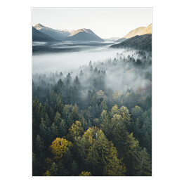 Plakat samoprzylepny Piękny las na tle szczytów górskich