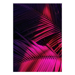 Plakat Zdjęcie liści palmowych w oświetleniu neonowym