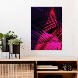 Plakat Zdjęcie liści palmowych w oświetleniu neonowym
