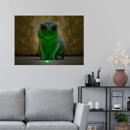 Plakat samoprzylepny Brytyjski krótkowłosy kot oświetlony neonowym światłem