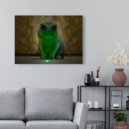 Obraz na płótnie Brytyjski krótkowłosy kot oświetlony neonowym światłem