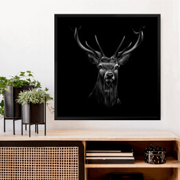 Obraz w ramie Portret jelenia na czarnym tle