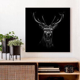 Obraz na płótnie Portret jelenia na czarnym tle