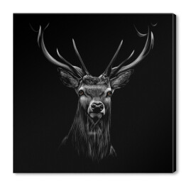 Portret jelenia na czarnym tle