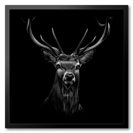 Obraz w ramie Portret jelenia na czarnym tle