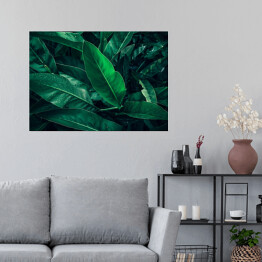 Plakat samoprzylepny Tropikalne ciemne liście z kroplami deszczu