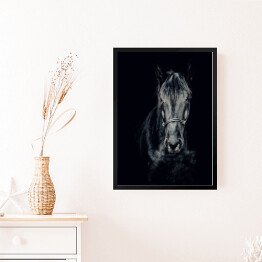 Obraz w ramie Czarno-białe zdjęcie konia