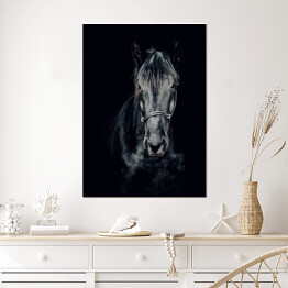 Czarno-białe zdjęcie konia