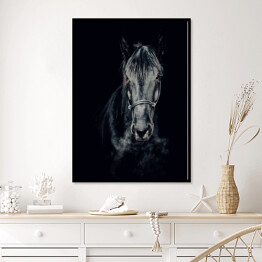 Plakat w ramie Czarno-białe zdjęcie konia