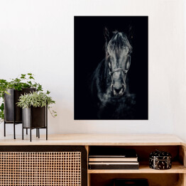 Plakat samoprzylepny Czarno-białe zdjęcie konia