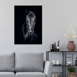 Plakat samoprzylepny Czarno-białe zdjęcie konia