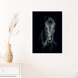 Plakat Czarno-białe zdjęcie konia