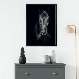 Obraz w ramie Czarno-białe zdjęcie konia