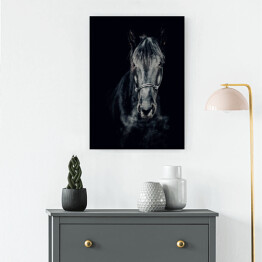 Obraz na płótnie Czarno-białe zdjęcie konia