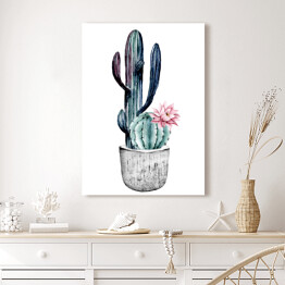 Obraz na płótnie Kwitnący kaktus w doniczce