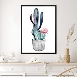 Obraz w ramie Kwitnący kaktus w doniczce