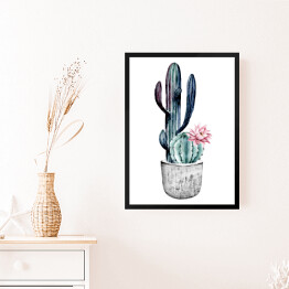 Obraz w ramie Kwitnący kaktus w doniczce