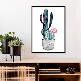 Kwitnący kaktus w doniczce