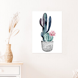 Plakat Kwitnący kaktus w doniczce