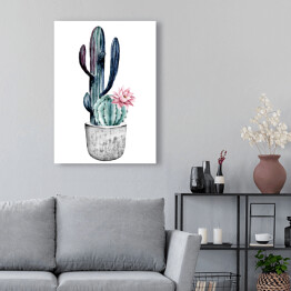 Kwitnący kaktus w doniczce