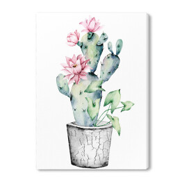 Obraz na płótnie Kwitnący kaktus w doniczce na białym tle