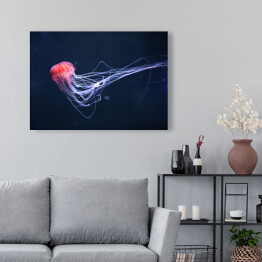 Obraz na płótnie Meduza w intensywnych kolorach na niebieskim tle