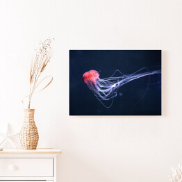 Obraz na płótnie Meduza w intensywnych kolorach na niebieskim tle