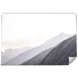 Fototapeta Góra porośnięta drzewami na tle wzgórza we mgle