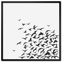 Plakat w ramie Ptaki wzbijające się w powietrze