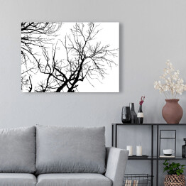 Obraz na płótnie Czarna sylwetka drzewa na białym tle