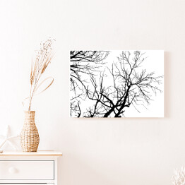 Obraz na płótnie Czarna sylwetka drzewa na białym tle