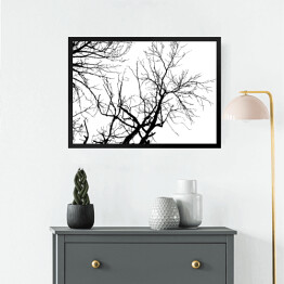 Obraz w ramie Czarna sylwetka drzewa na białym tle