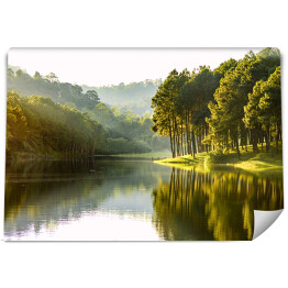 Fototapeta samoprzylepna Piękny widok krajobrazu sosny drzewa lasu i jeziora widok zbiornika.