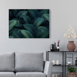 Obraz na płótnie Rozłożyste tropikalne ciemne zielone liście w dżungli