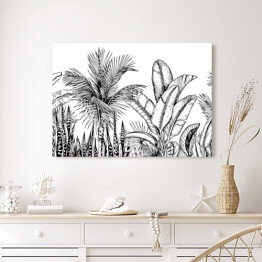 Obraz na płótnie Wysokie palmy i liście bananowca - szkic roślinności