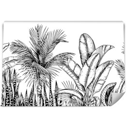 Fototapeta Wysokie palmy i liście bananowca - szkic roślinności