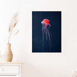 Plakat Meduza w intensywnych kolorach