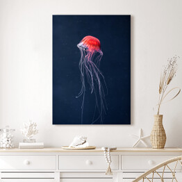 Obraz na płótnie Meduza w intensywnych kolorach